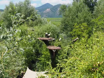 NaturOparC Hunawihr, Alsace (France)